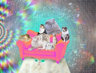 Illustration for article titled It's Like Taking Drugs and Looking at Cats